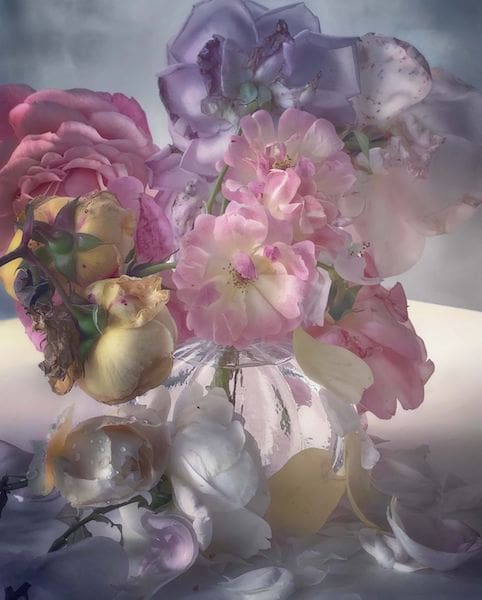 Nick Knight roses garden painting