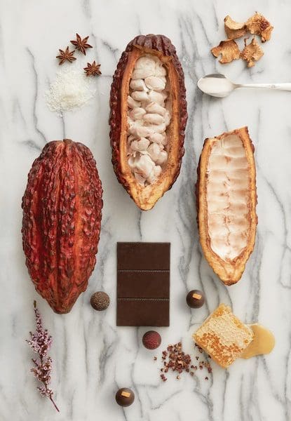 wellness cacao pod vosges haut-chocolat