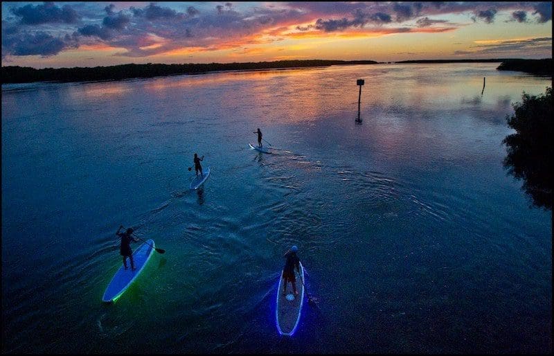 key largo paddleboarding