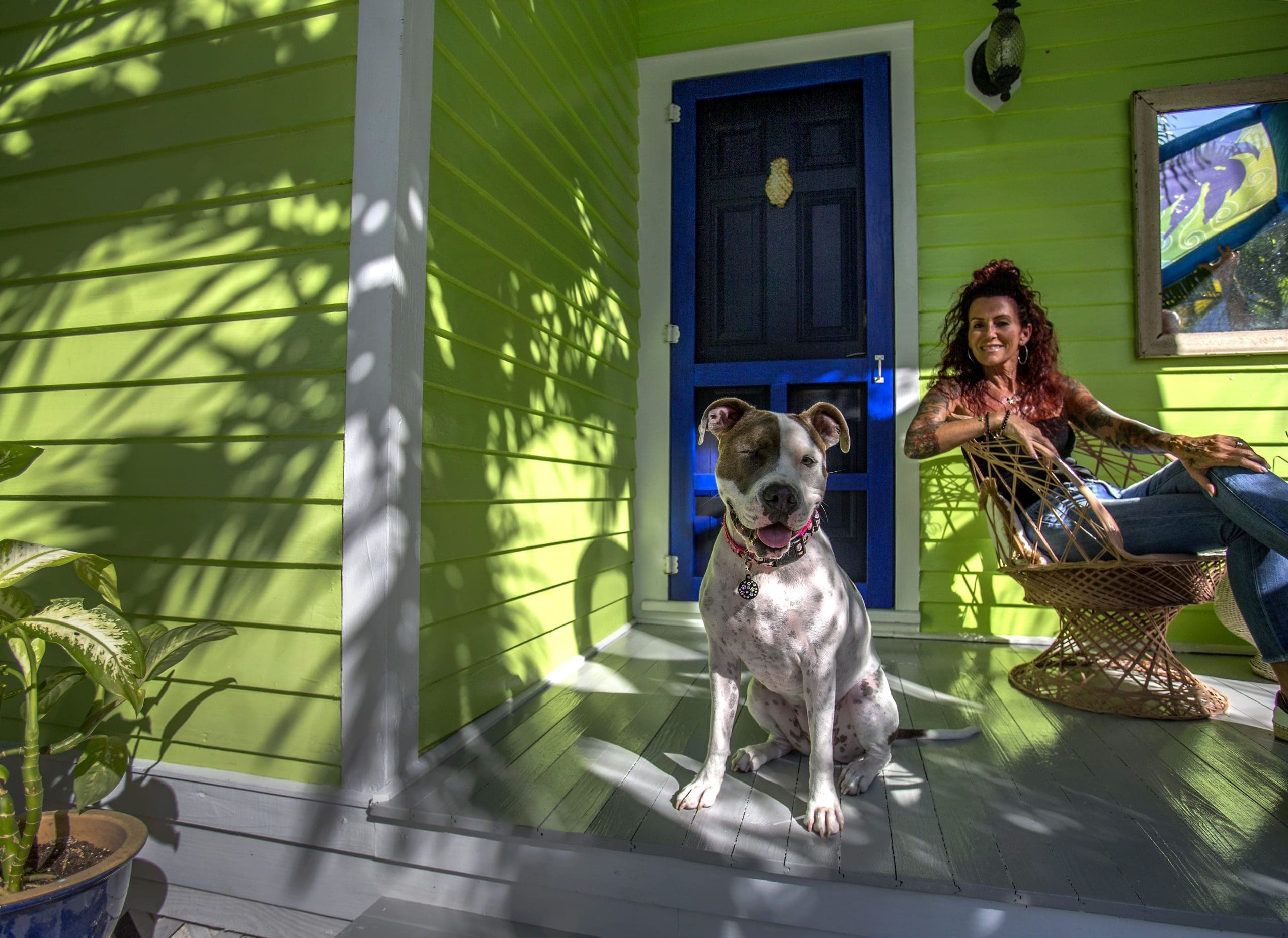 Pet Friendly Hotel Key West