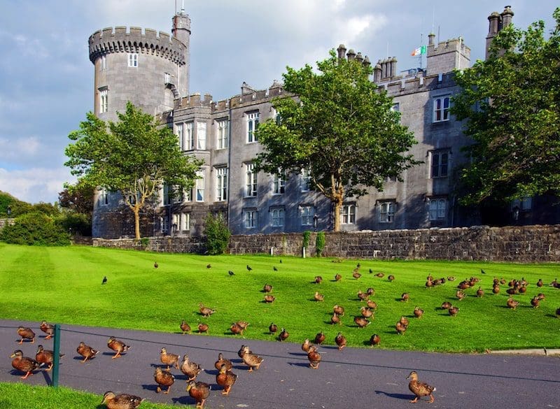 dromoland castle ireland with ducks