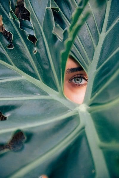 beautiful blue woman eye looking through large green leaf