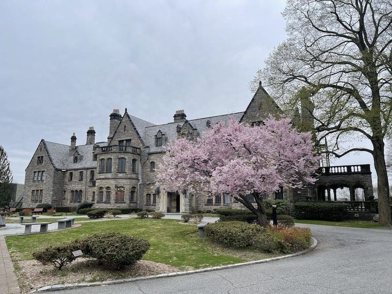 mill neck manor spring cherry blossoms mansion long island