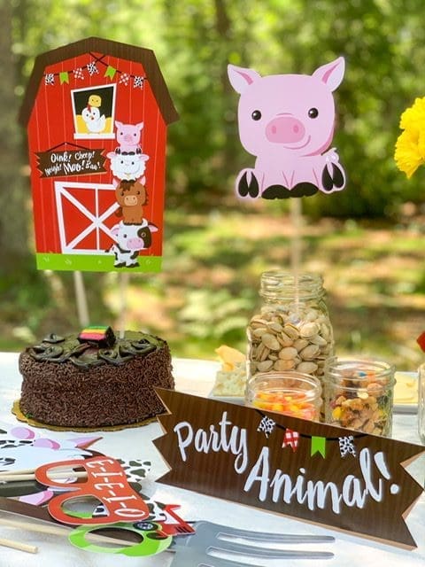 big dot of happiness children birthday party farm animals