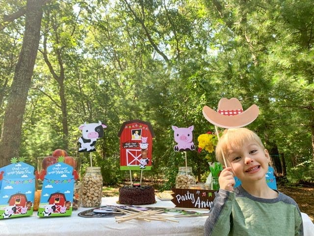 benjamin gordon birthday party farm animals
