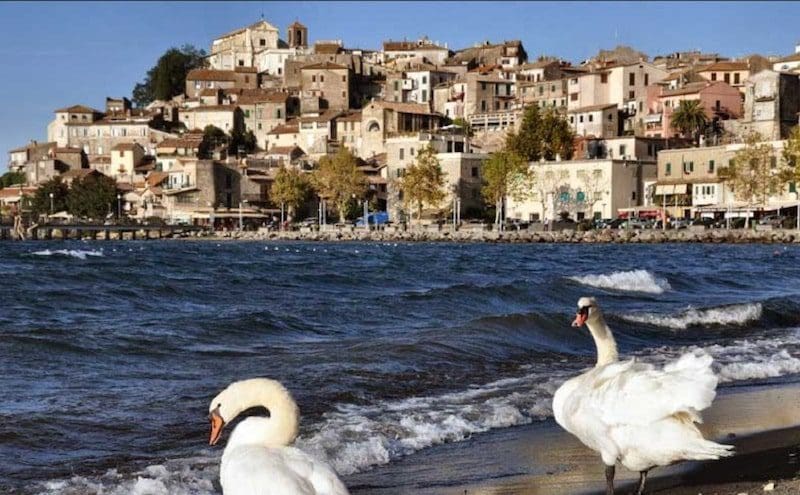 Lake Bracciano in italy day trip with swans