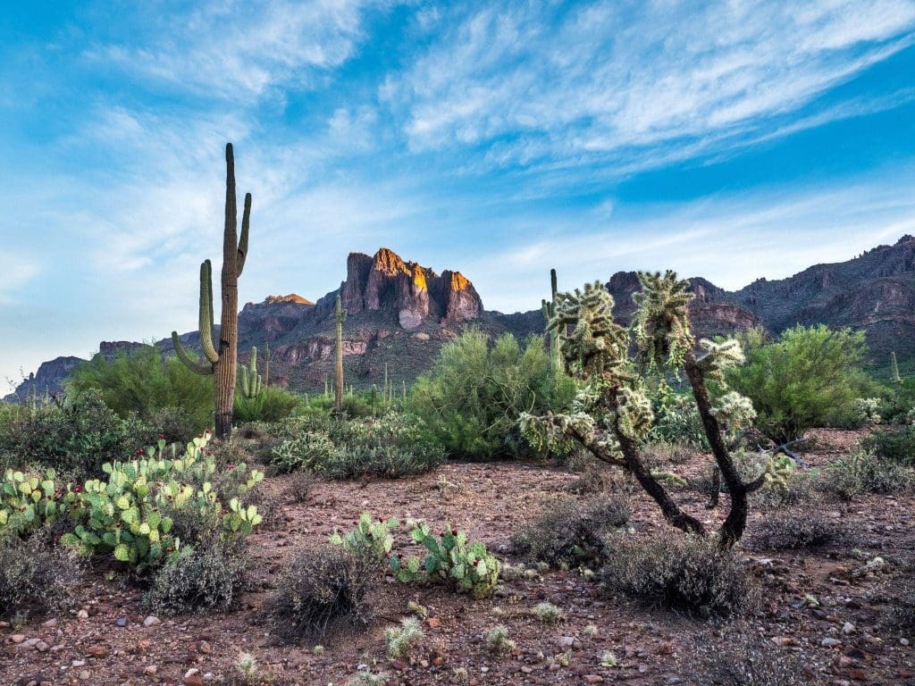 sonoran desert scottsdale arizona