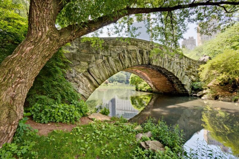 central park bridge in spring summer