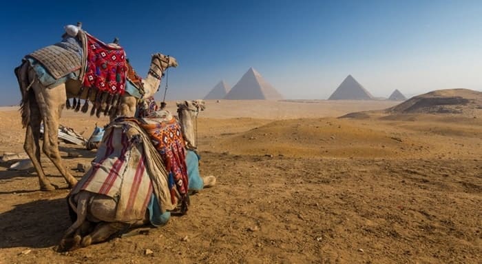 Egypt. Cairo - Giza. General view of pyramids from the Giza