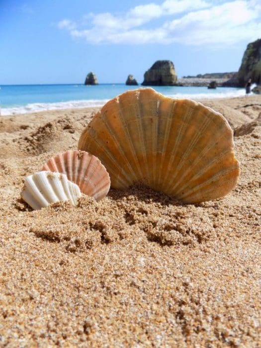 Algarve Lagos beach