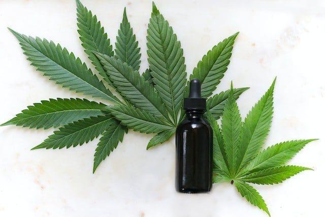 Hemp or cannabis tincture