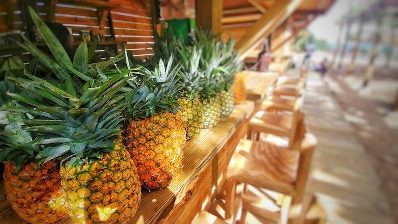 fruits - pineapples