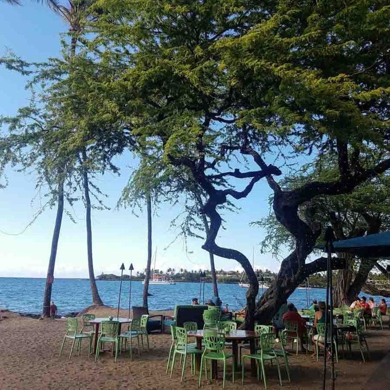 lava lava restaurant big island hawaii