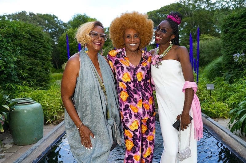 Harriett Cole, Renee Cox, Tinu Naija