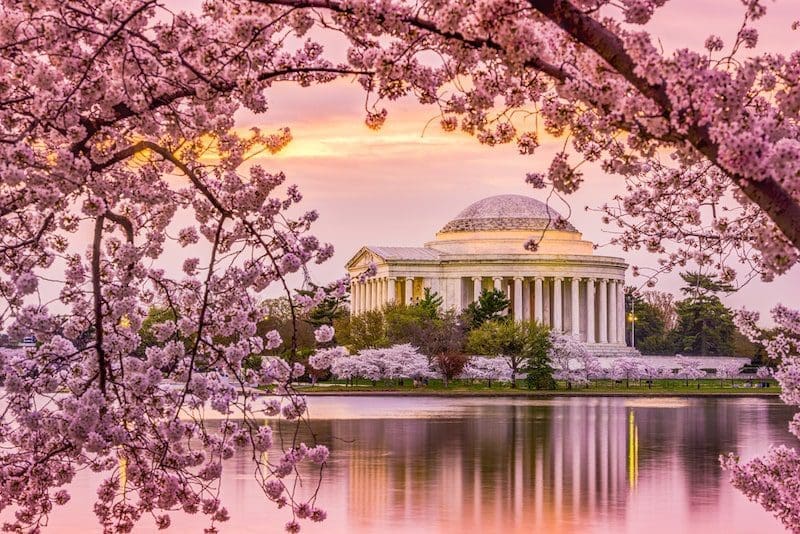 Jefferson Memorial in Spring