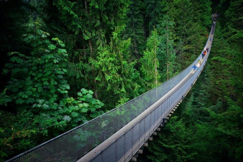 Capilano suspension bridge