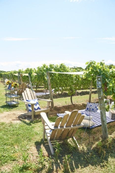 outside of Peconic Bay Winery summer