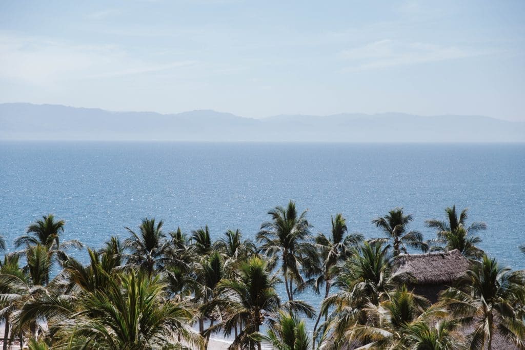 Pacific Ocean hotel view with palm trees