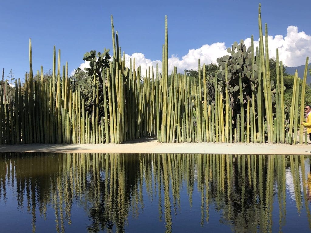 Botanial Garden