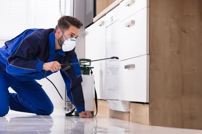 Outstanding Pest Exterminator .Com