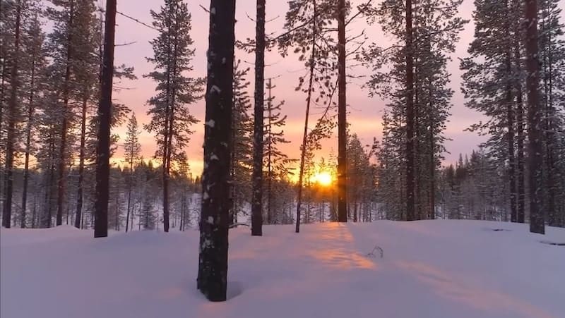 Hiking In Finland In Winter