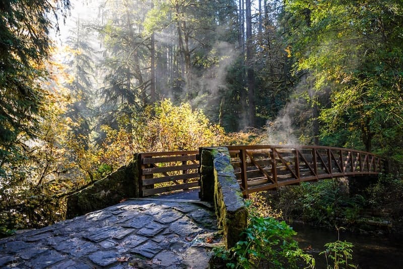 Silver Falls State Park