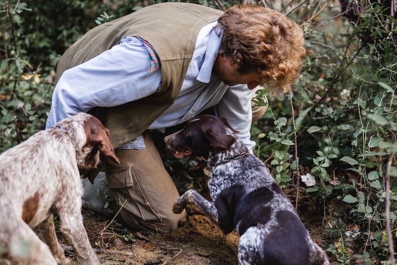 Rosewood Truffle Hunting