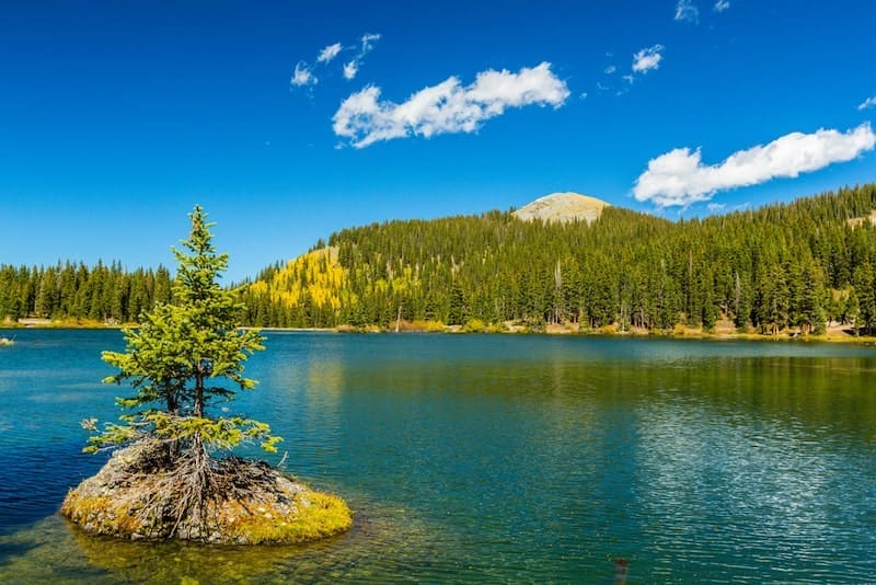 Autumn colors, aspen forests and snow covered mountain peak Telluride